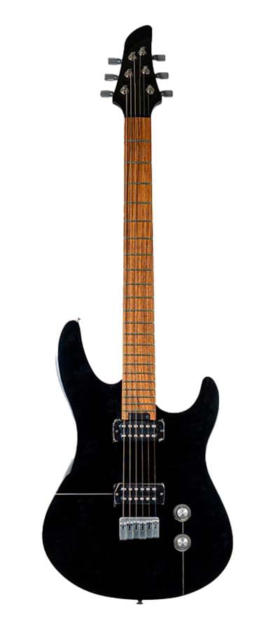 imagen guitarraBorland